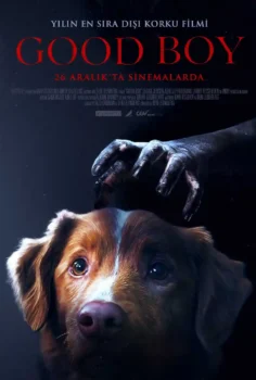 Good Boy Film İzle