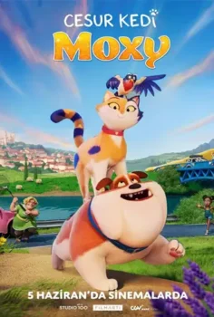 Cesur Kedi Moxy Full HD İzle